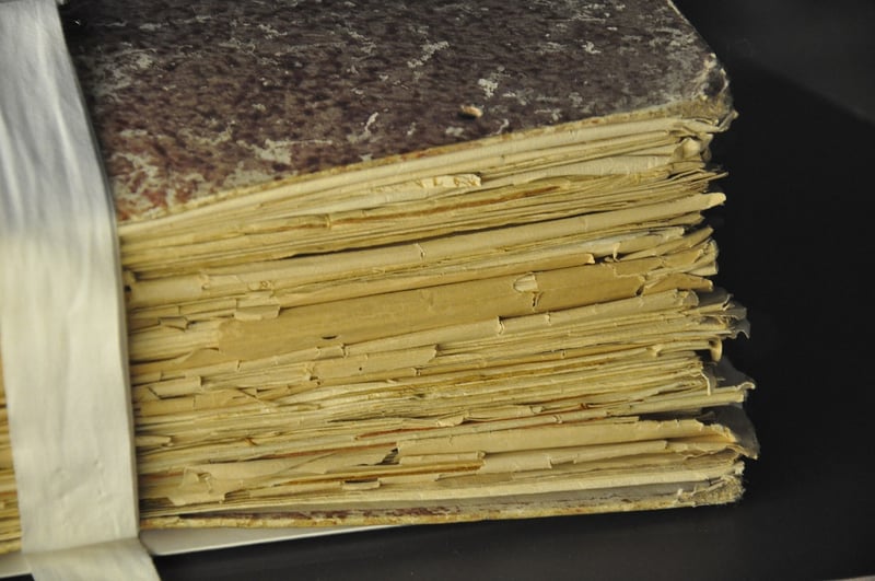 Voynich Manuscript